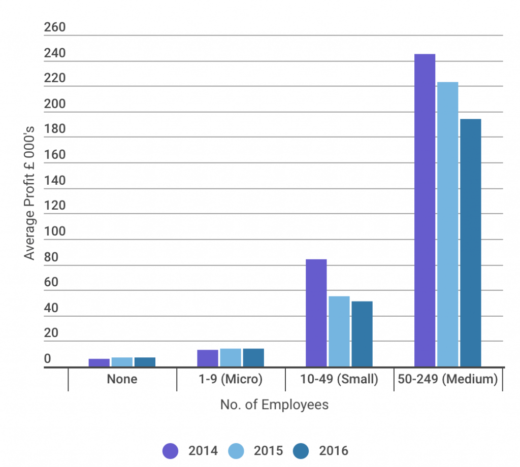 SME Profits By Business SIze